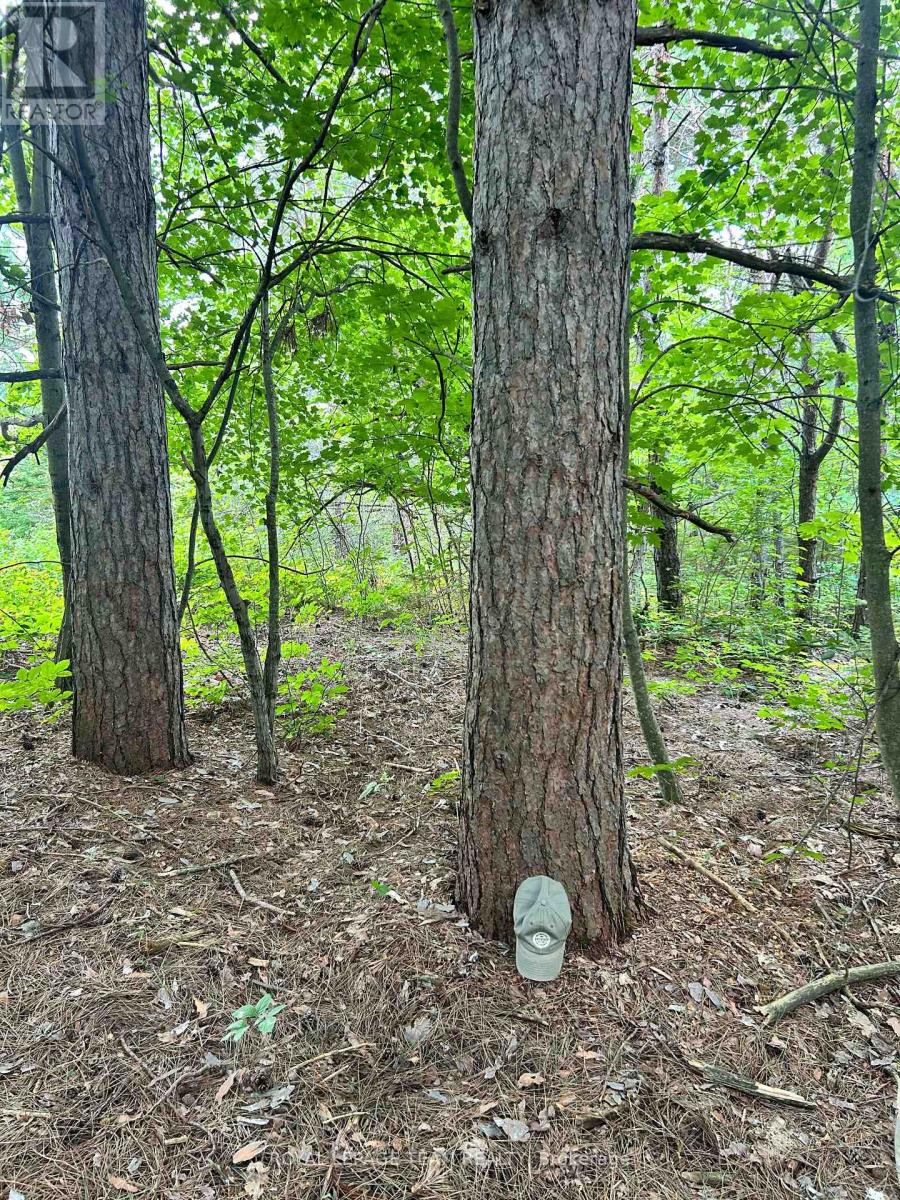 Lot 7&8 Pond Road Property Photo 14