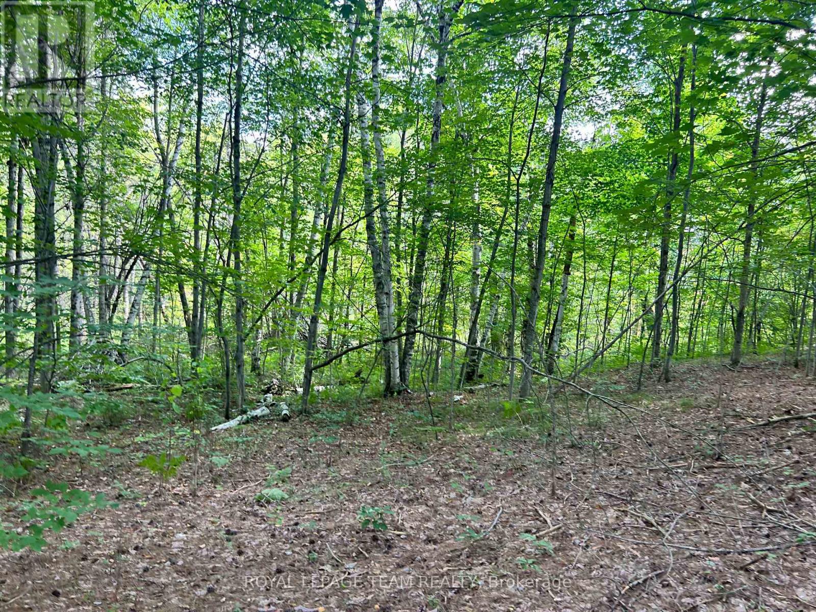 Lot 7&8 Pond Road Property Photo 16