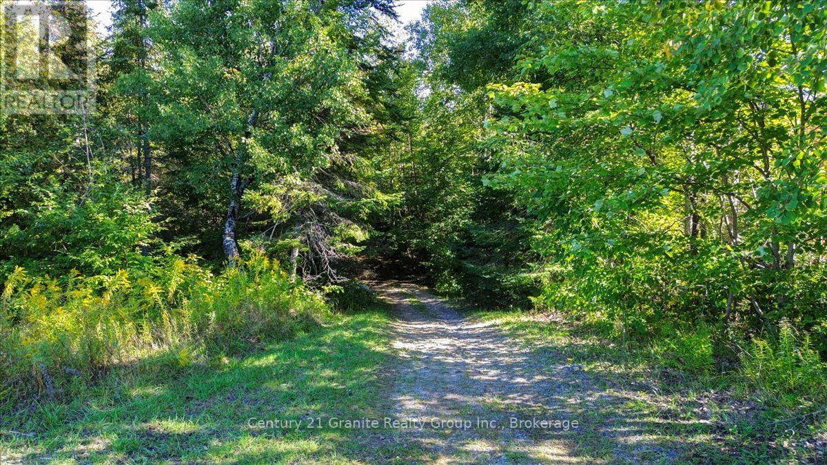 22934 62 Highway S Property Photo 20
