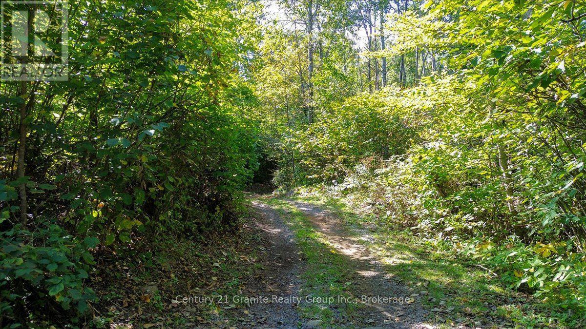 22934 62 Highway S Property Photo 36