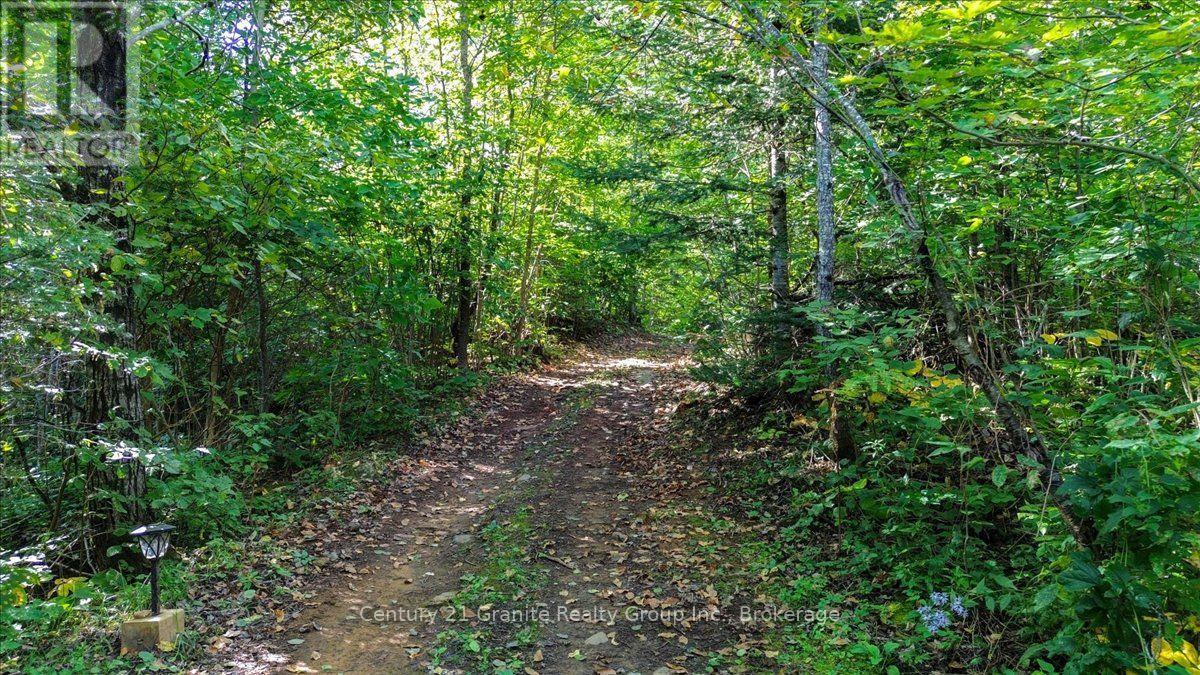 22934 62 Highway S Property Photo 37