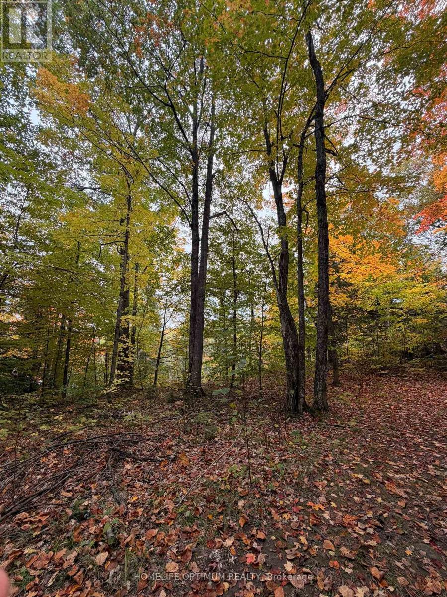 Lot 23 Con 3 Sebastopol Property Photo 27