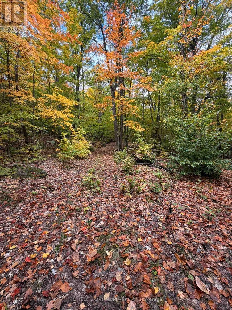 Lot 23 Con 3 Sebastopol Property Photo 29