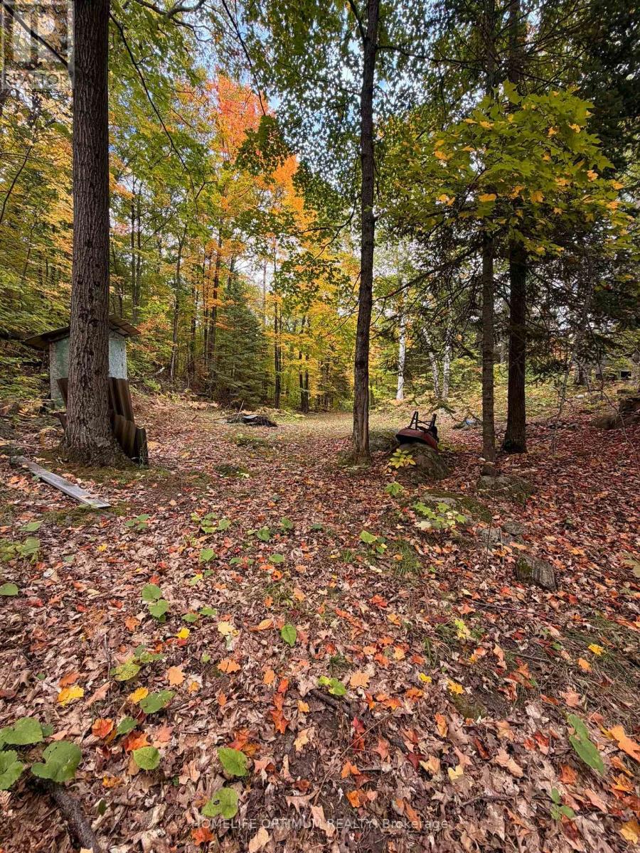Lot 23 Con 3 Sebastopol Property Photo 30