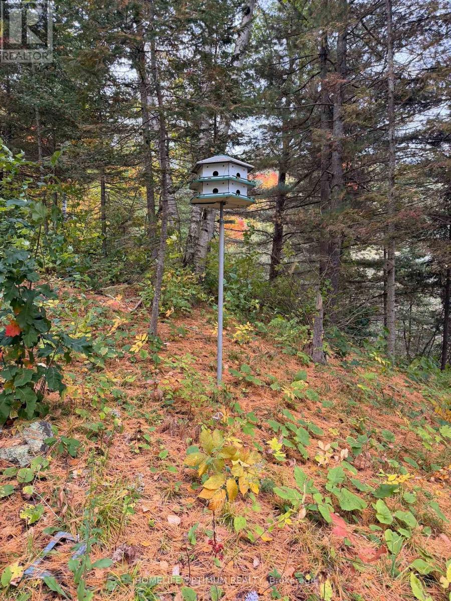 Lot 23 Con 3 Sebastopol Property Photo 33