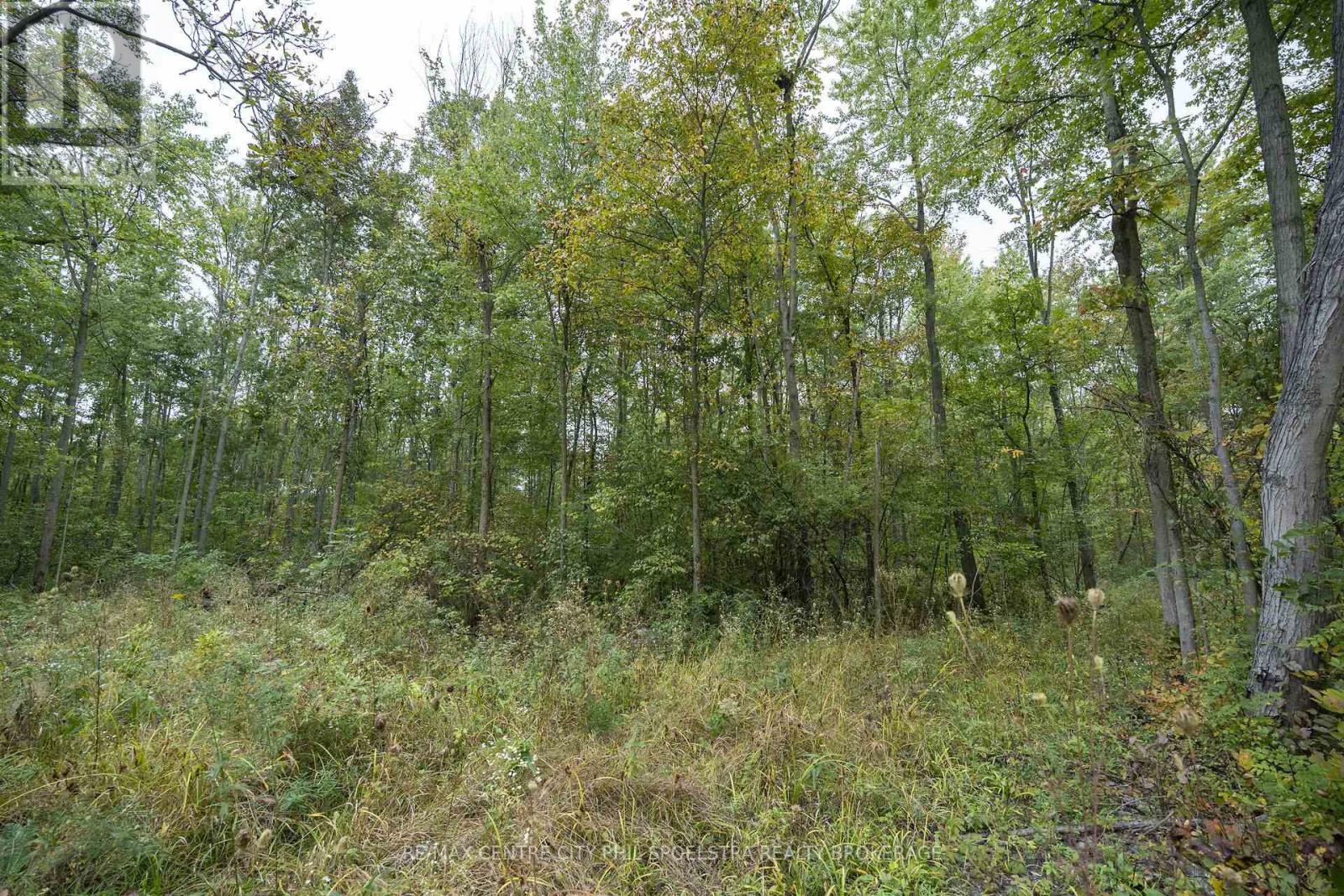 Lt 23-25 Con 10 Holt Line Property Photo 18