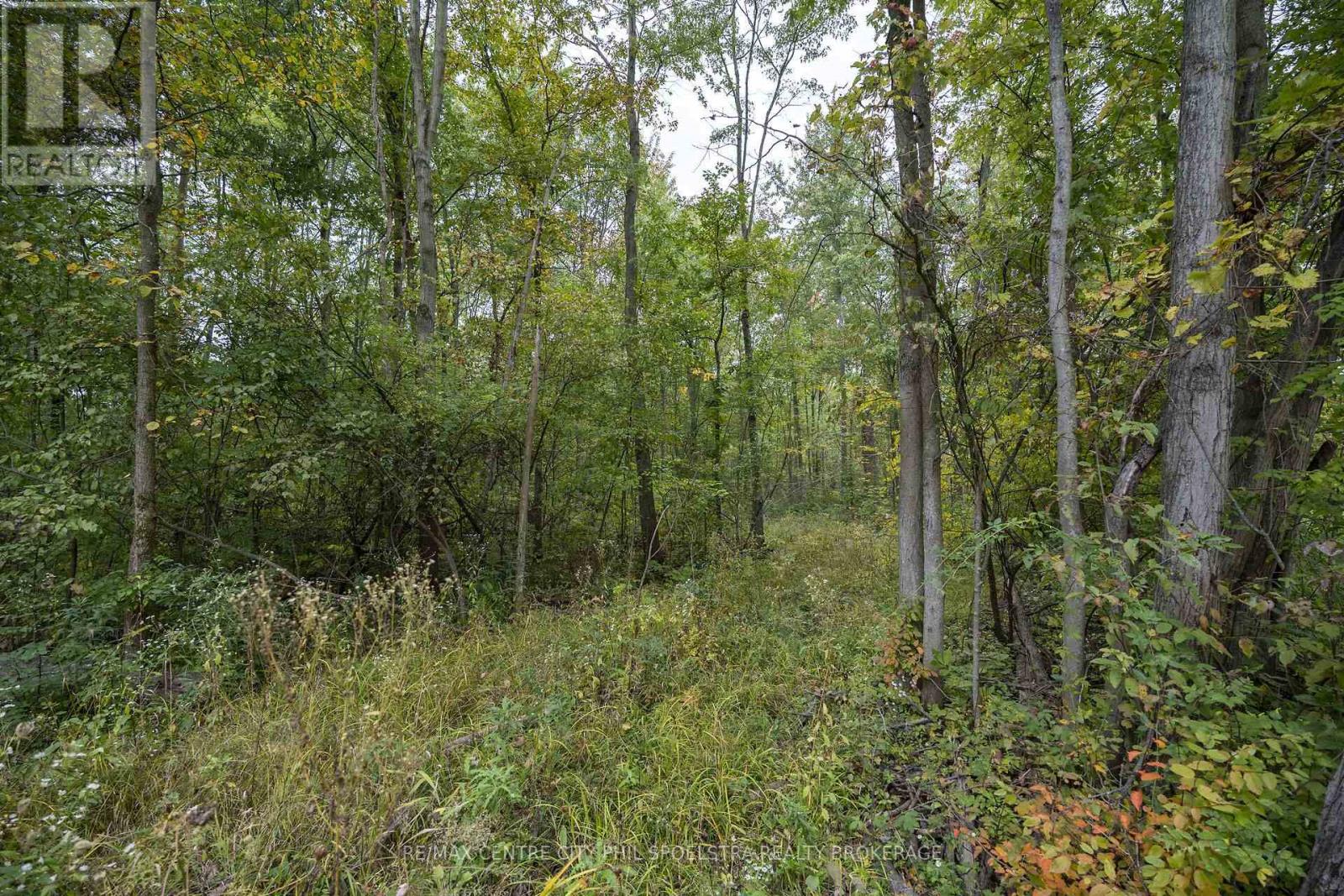 Lt 23-25 Con 10 Holt Line Property Photo 19