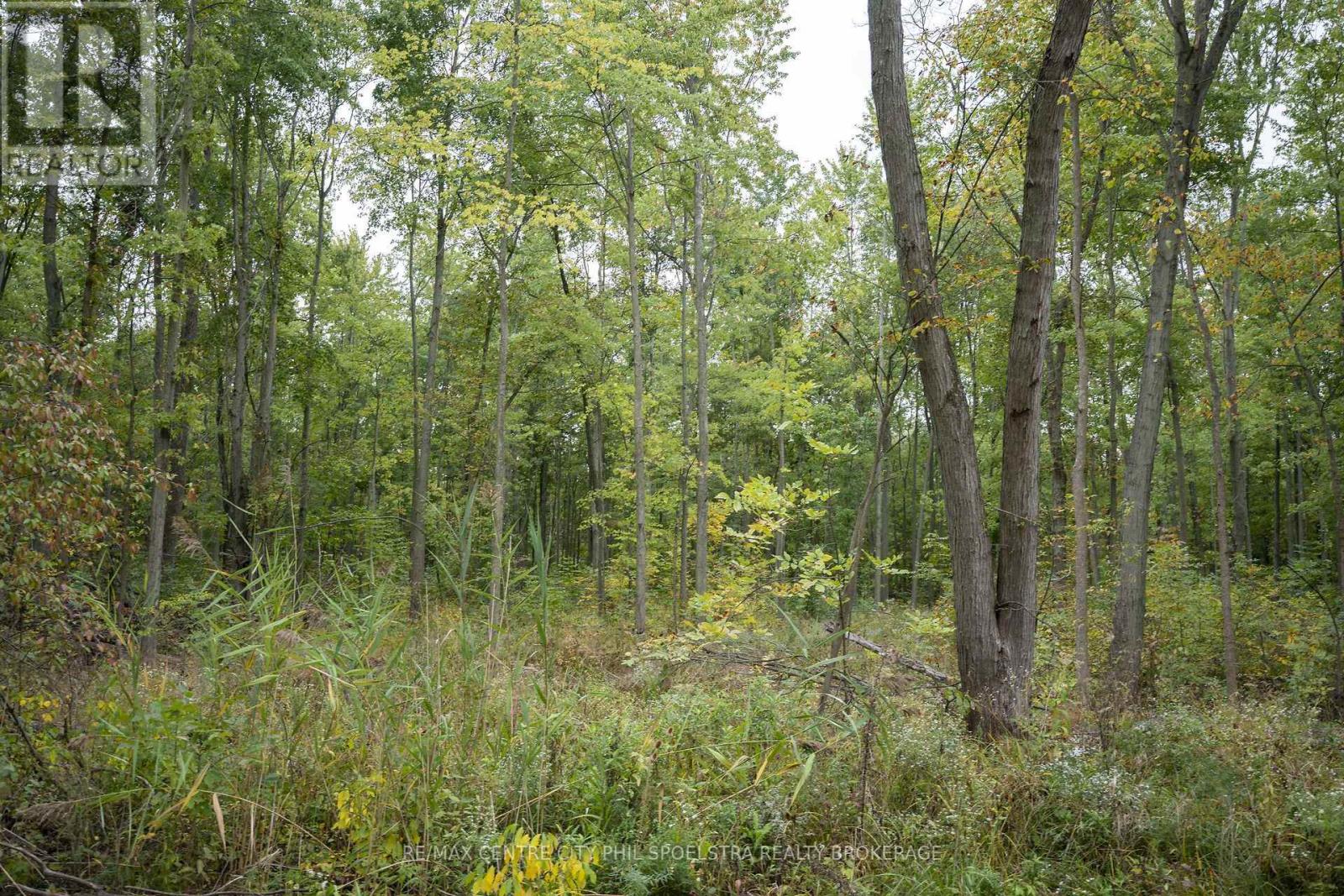 Lt 23-25 Con 10 Holt Line Property Photo 21