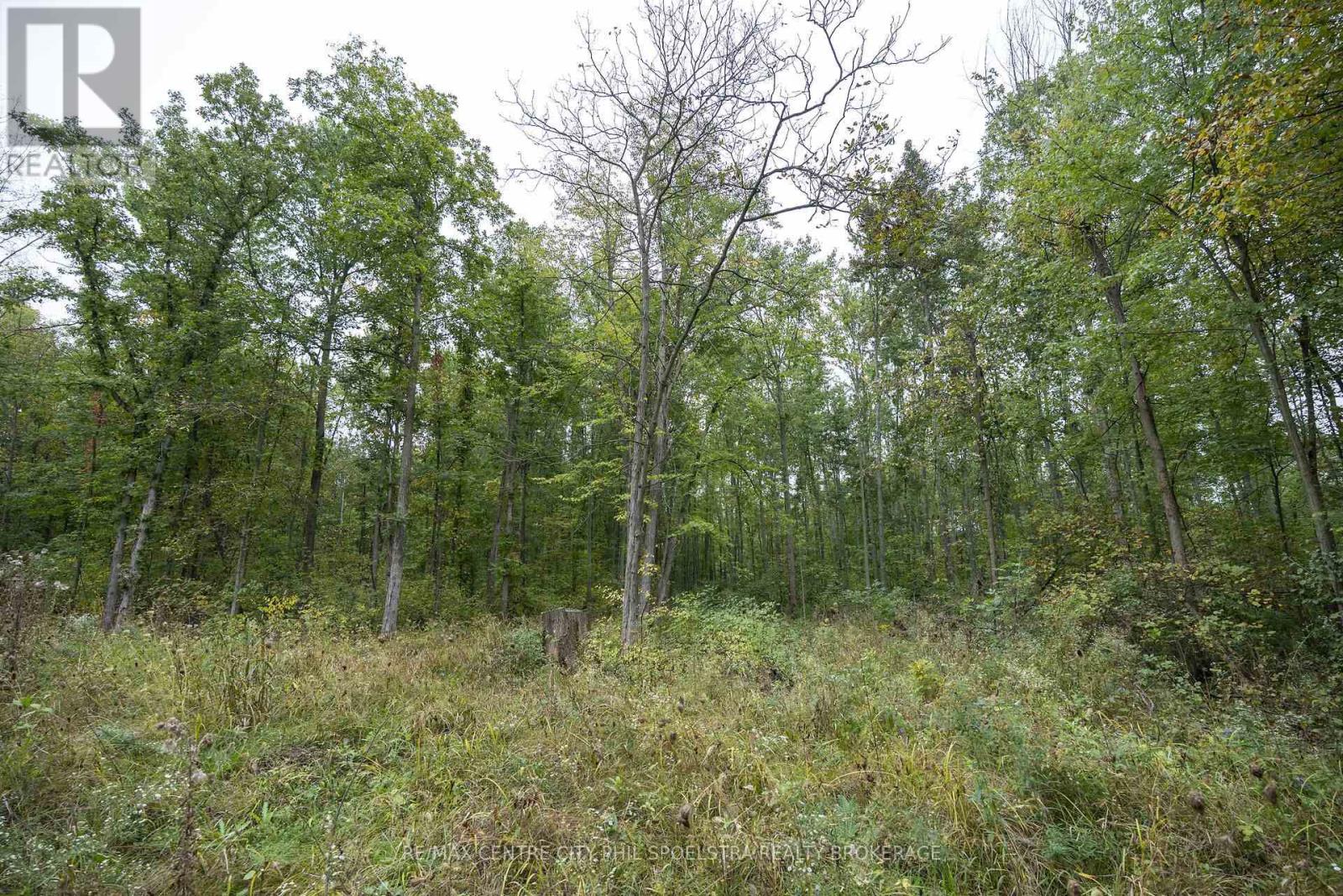 Lt 23-25 Conc 10 Holt Line Property Photo 17