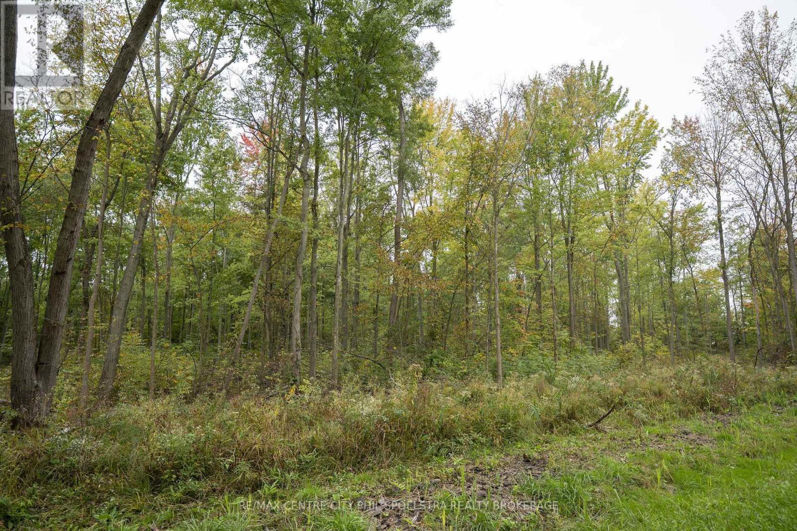 Lt 23-25 Conc 10 Holt Line Property Photo 22