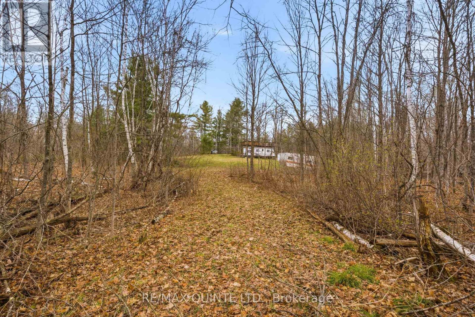 87 Gull Creek Lane Property Photo 8