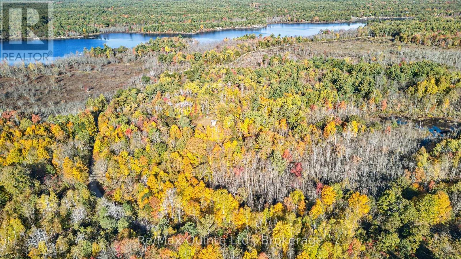 87 Gull Creek Lane Property Photo 16