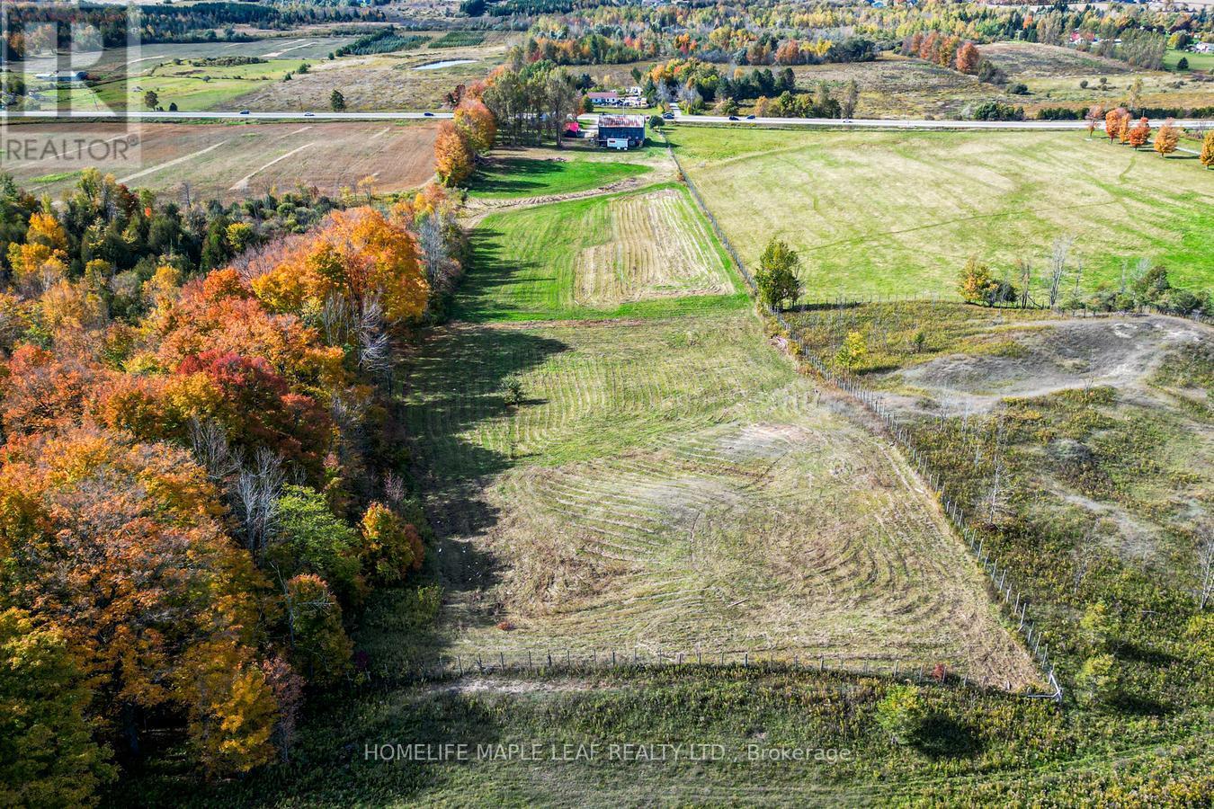 635551 Highway 10 Property Photo 39