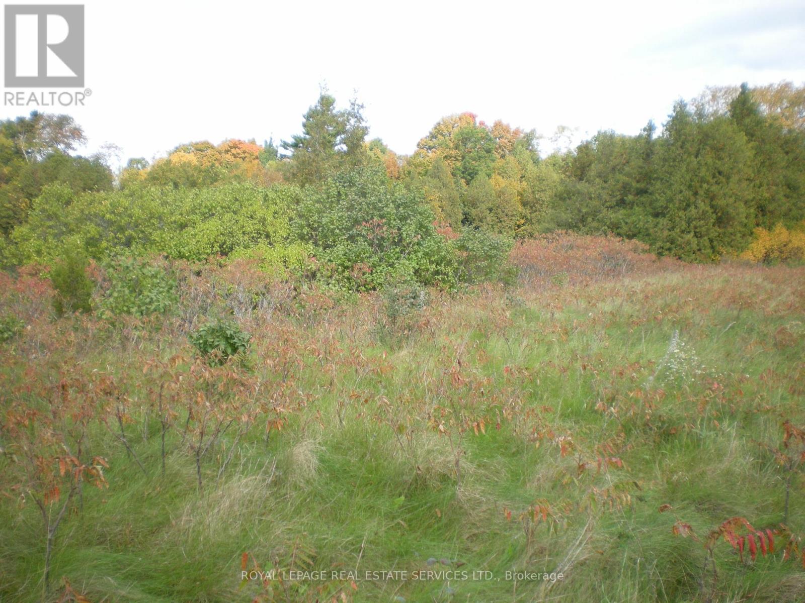 Lt 27 Pt 3 County Rd 10 Property Photo 6