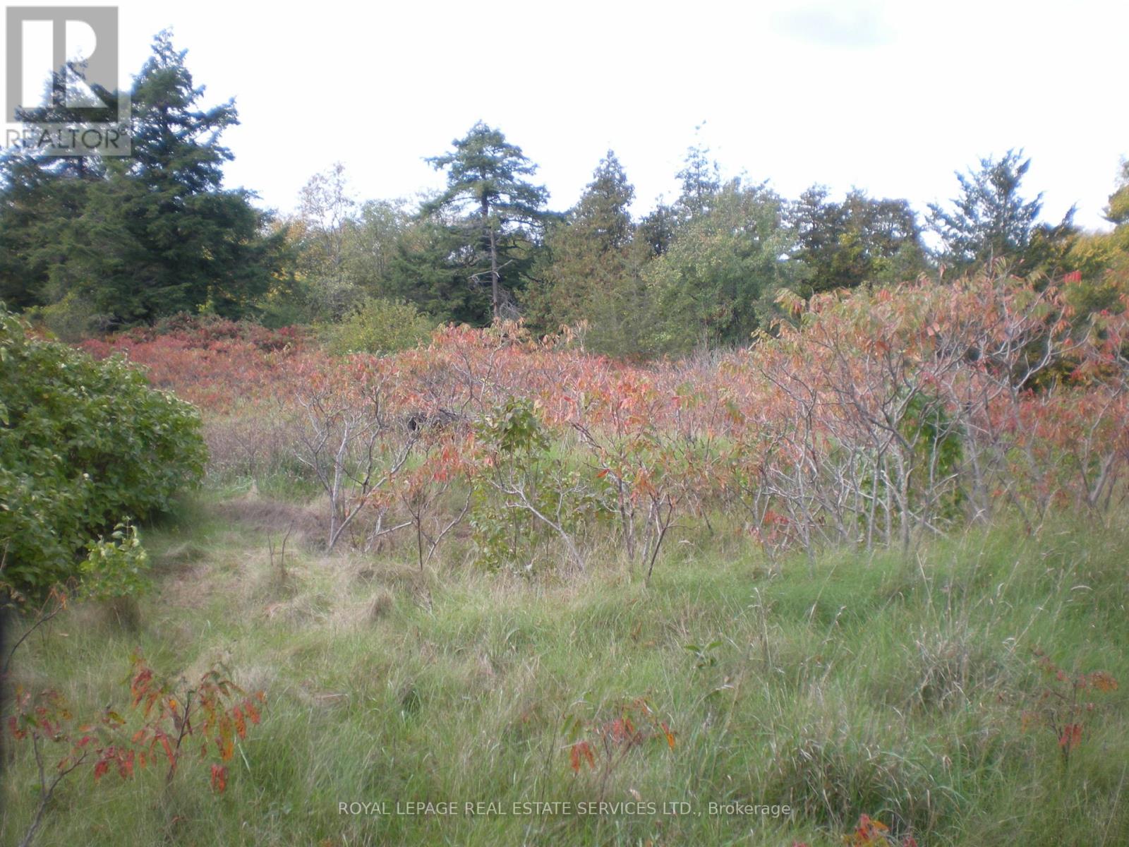 Lt 27 Pt 3 County Rd 10 Property Photo 14