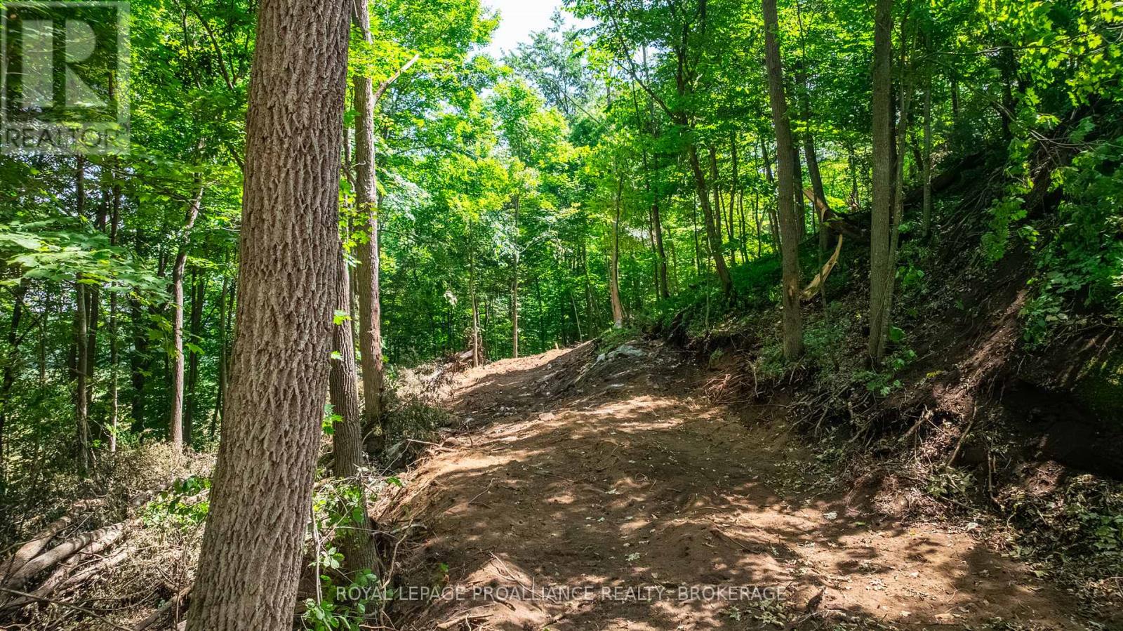 Lot 2 Trillium Lane Property Photo 18