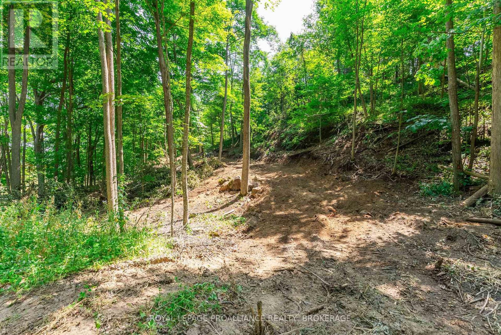 Lot 2 Trillium Lane Property Photo 20
