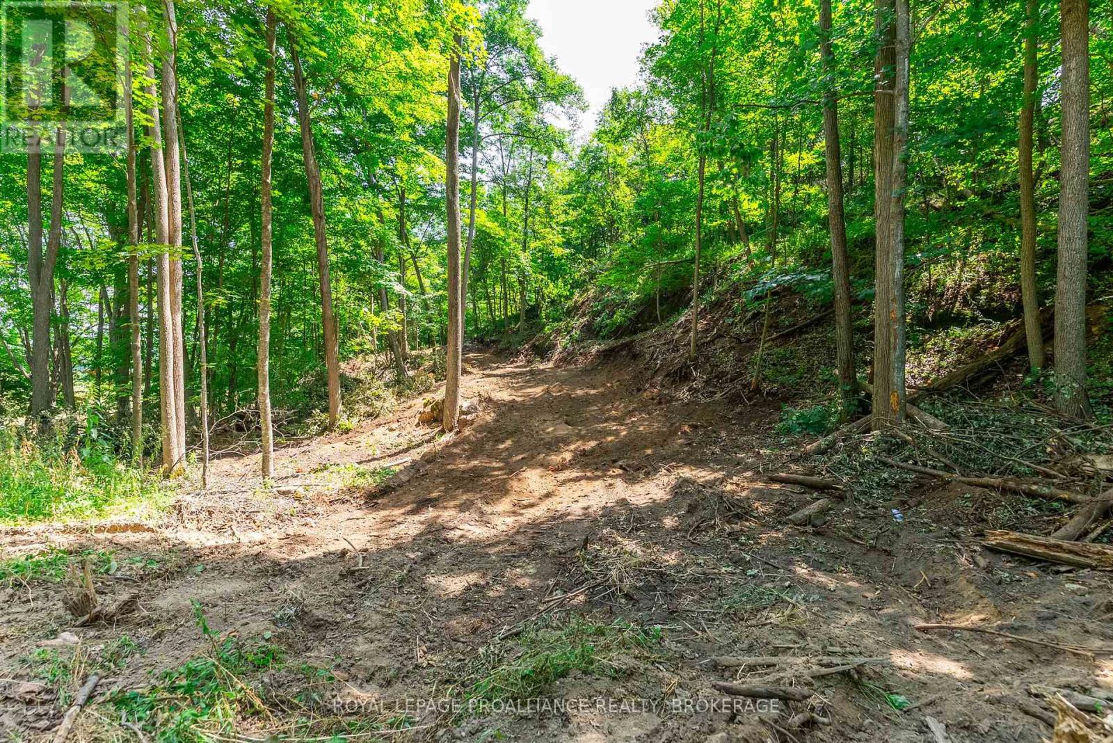 Lot 2 Trillium Lane Property Photo 21