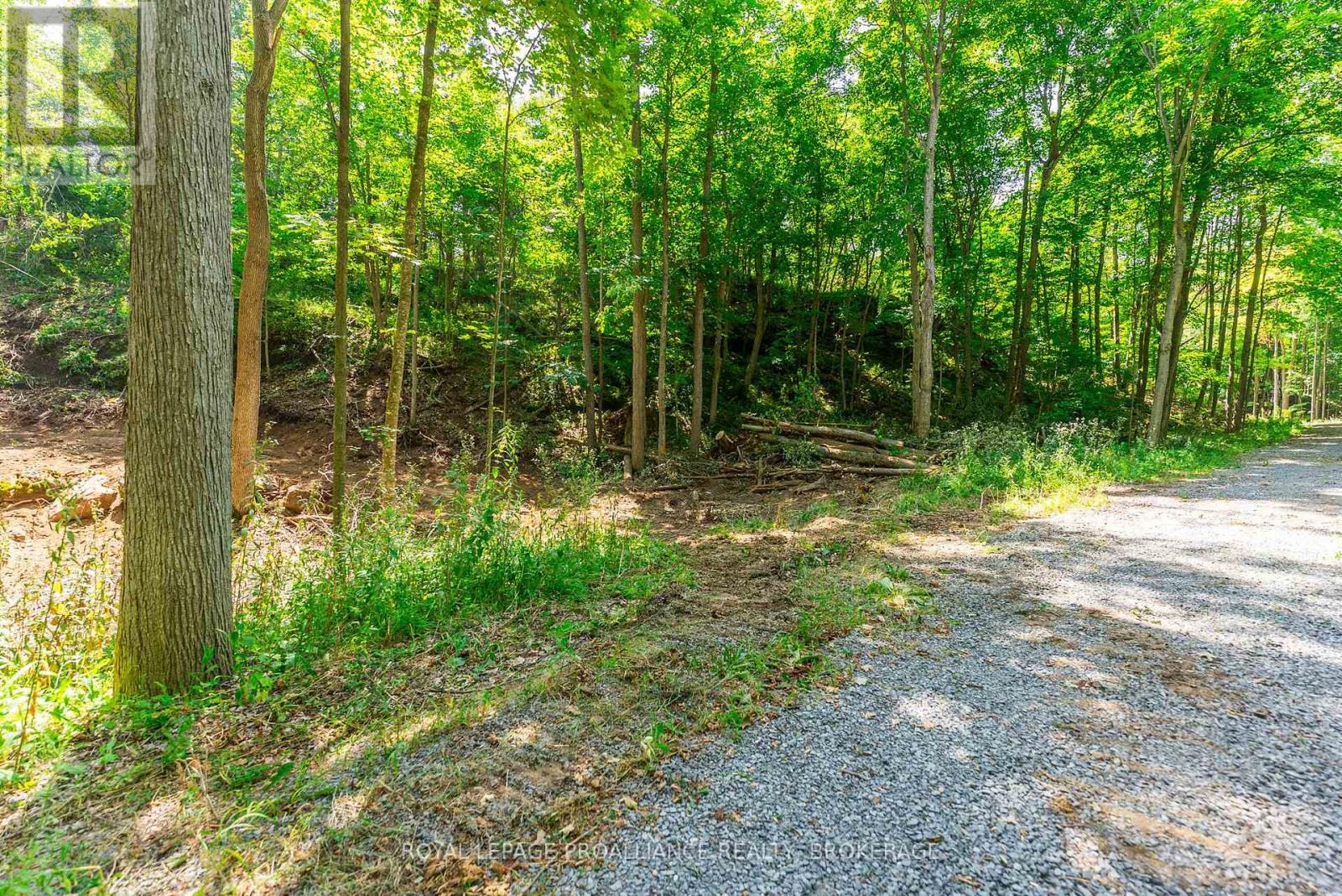 Lot 2 Trillium Lane Property Photo 23