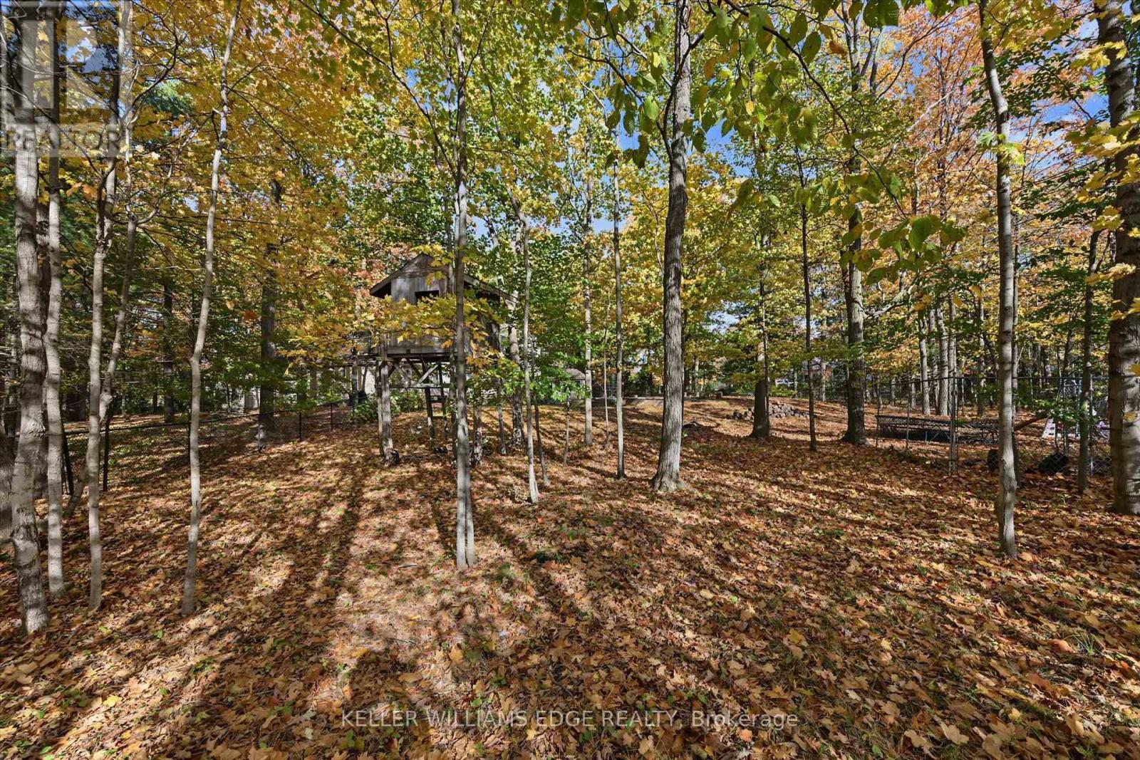 872 6th Conc Road W Property Photo 45