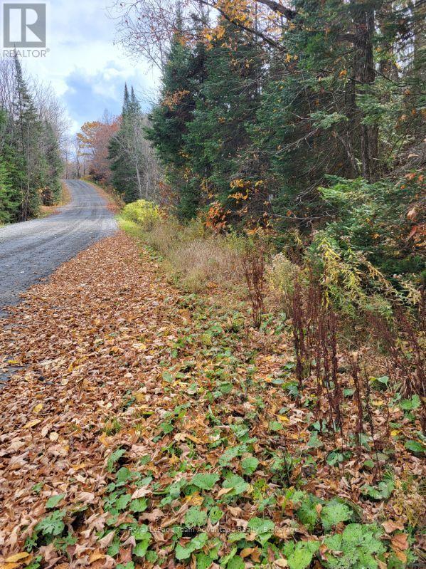 0 Haines Lake Road Property Photo 1