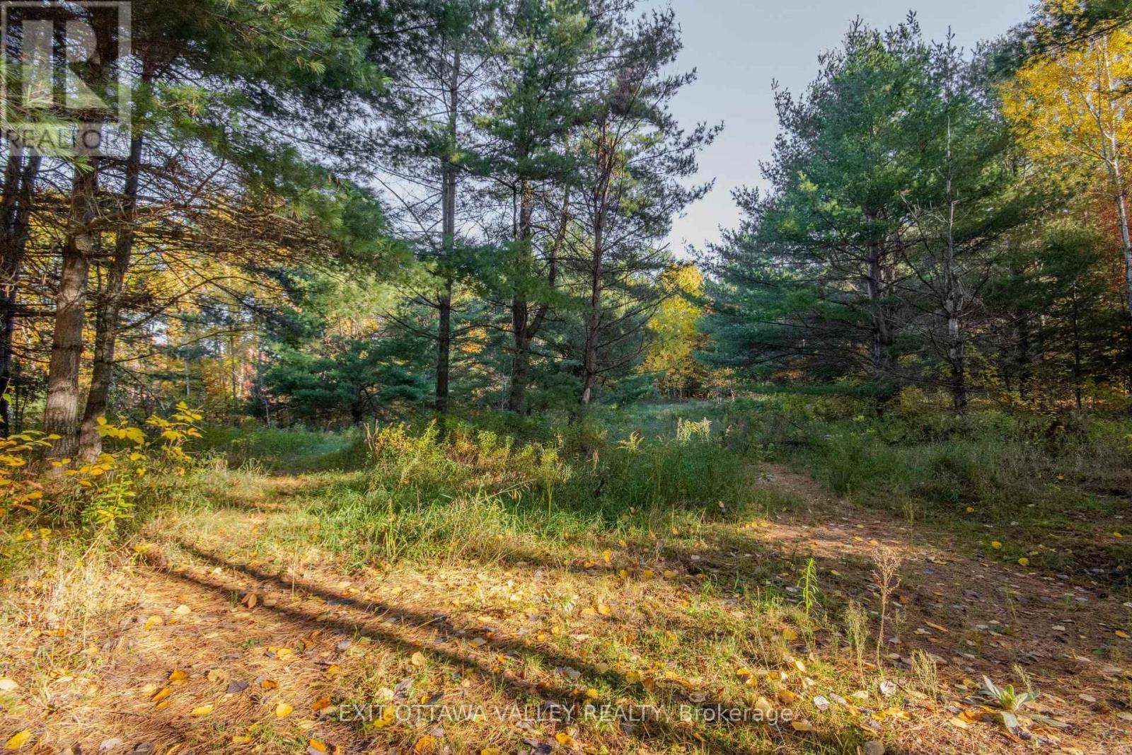 12894 Highway 60 Highway Property Photo 32