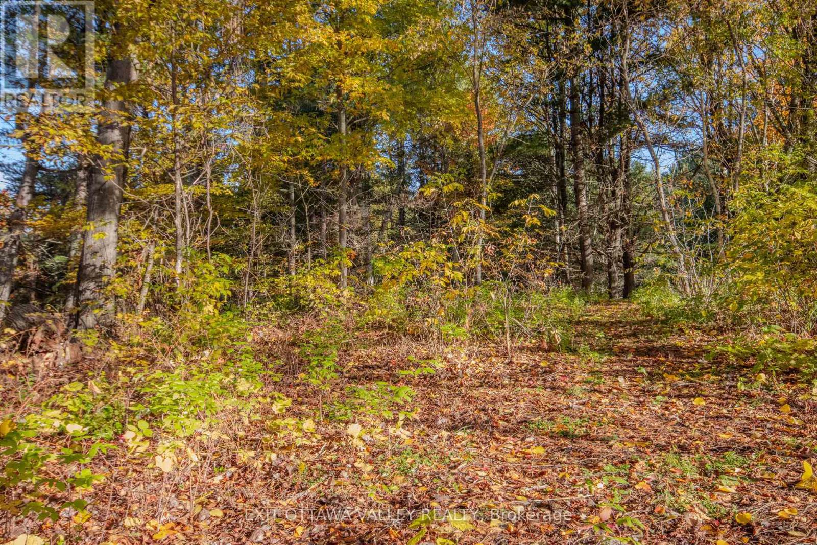 12894 Highway 60 Highway Property Photo 34