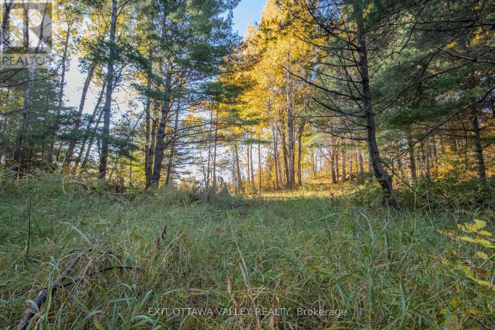 12894 Highway 60 Highway Property Photo 37