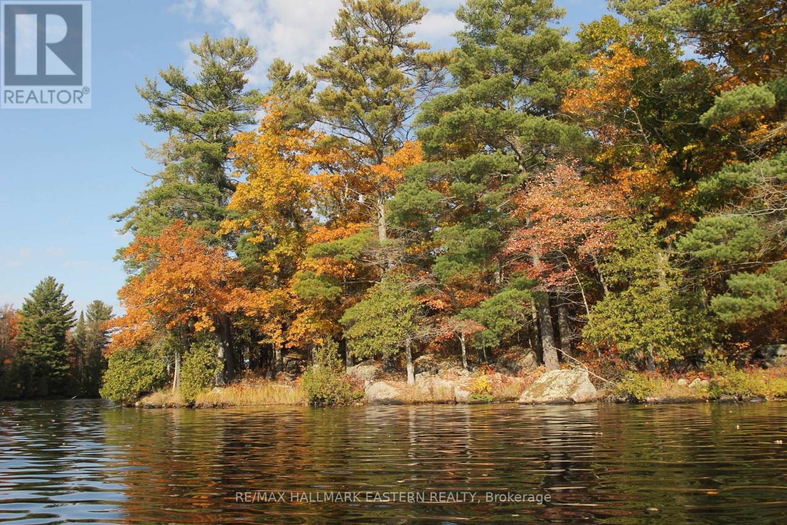 Lot 1 - C280 Lower Buckhorn Lake Property Photo 4