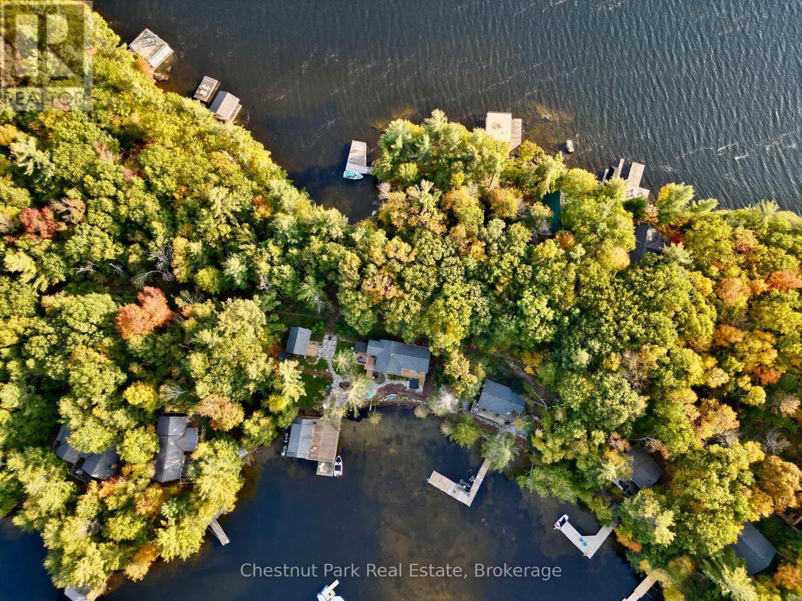 76 Birch Island Property Photo 6