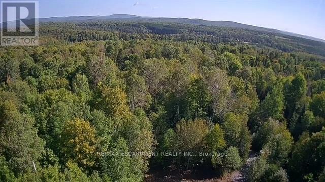 3275 Musclow-greenview Road Property Photo 3
