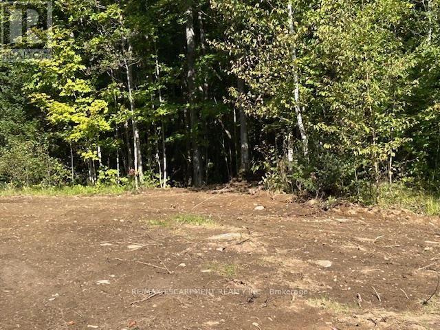 3275 Musclow-greenview Road Property Photo 14
