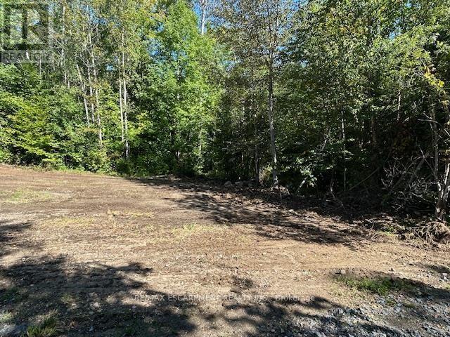 3275 Musclow-greenview Road Property Photo 15
