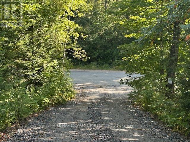 3275 Musclow-greenview Road Property Photo 16