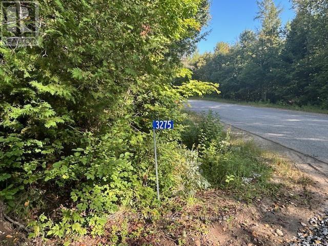 3275 Musclow-greenview Road Property Photo 17
