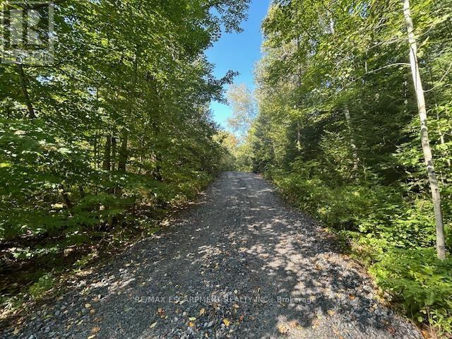 3275 Musclow-greenview Road Property Photo 20
