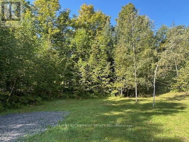 3275 Musclow-greenview Road Property Photo 23