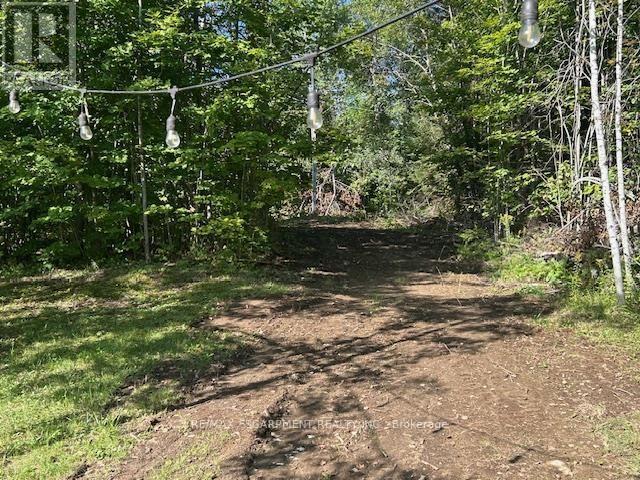 3275 Musclow-greenview Road Property Photo 27