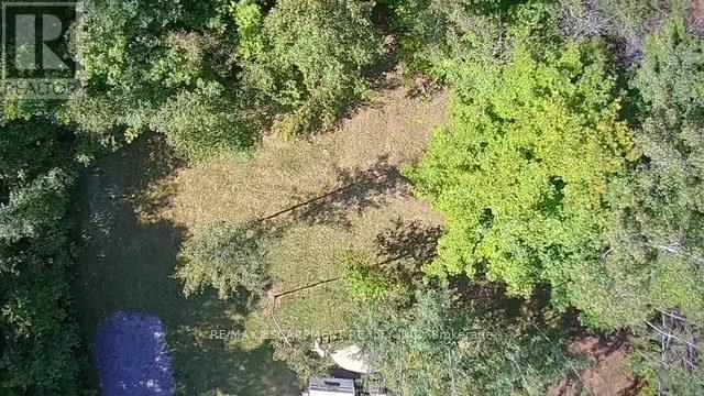 3275 Musclow-greenview Road Property Photo 34