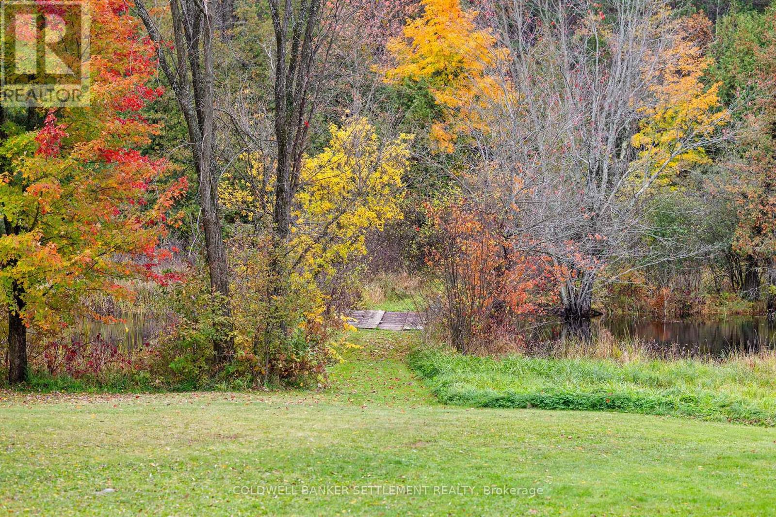 957 Upper Scotch Line Road Property Photo 4