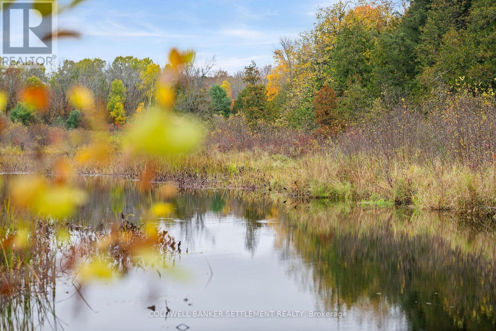 957 Upper Scotch Line Road Property Photo 6