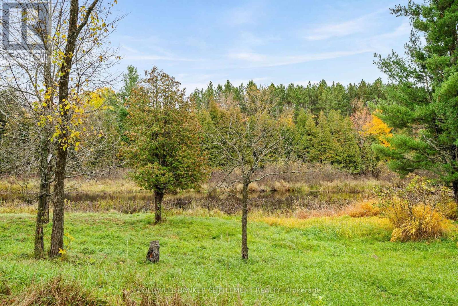 957 Upper Scotch Line Road Property Photo 42