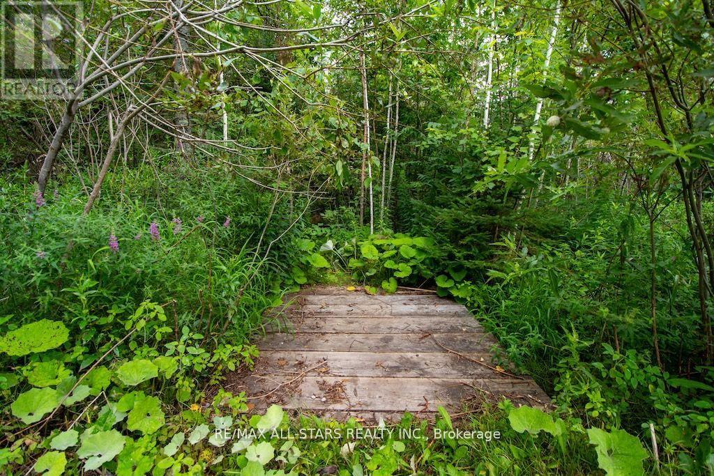 15 Rustlewood Avenue Property Photo 41
