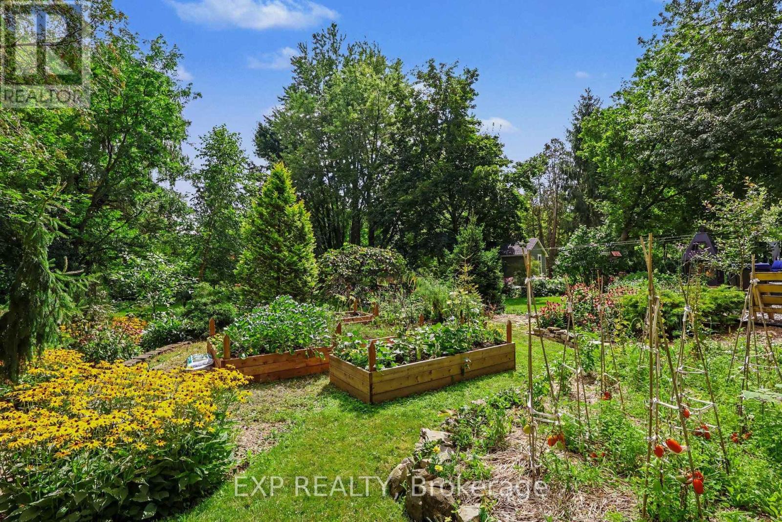 77 Mill Street Property Photo 33