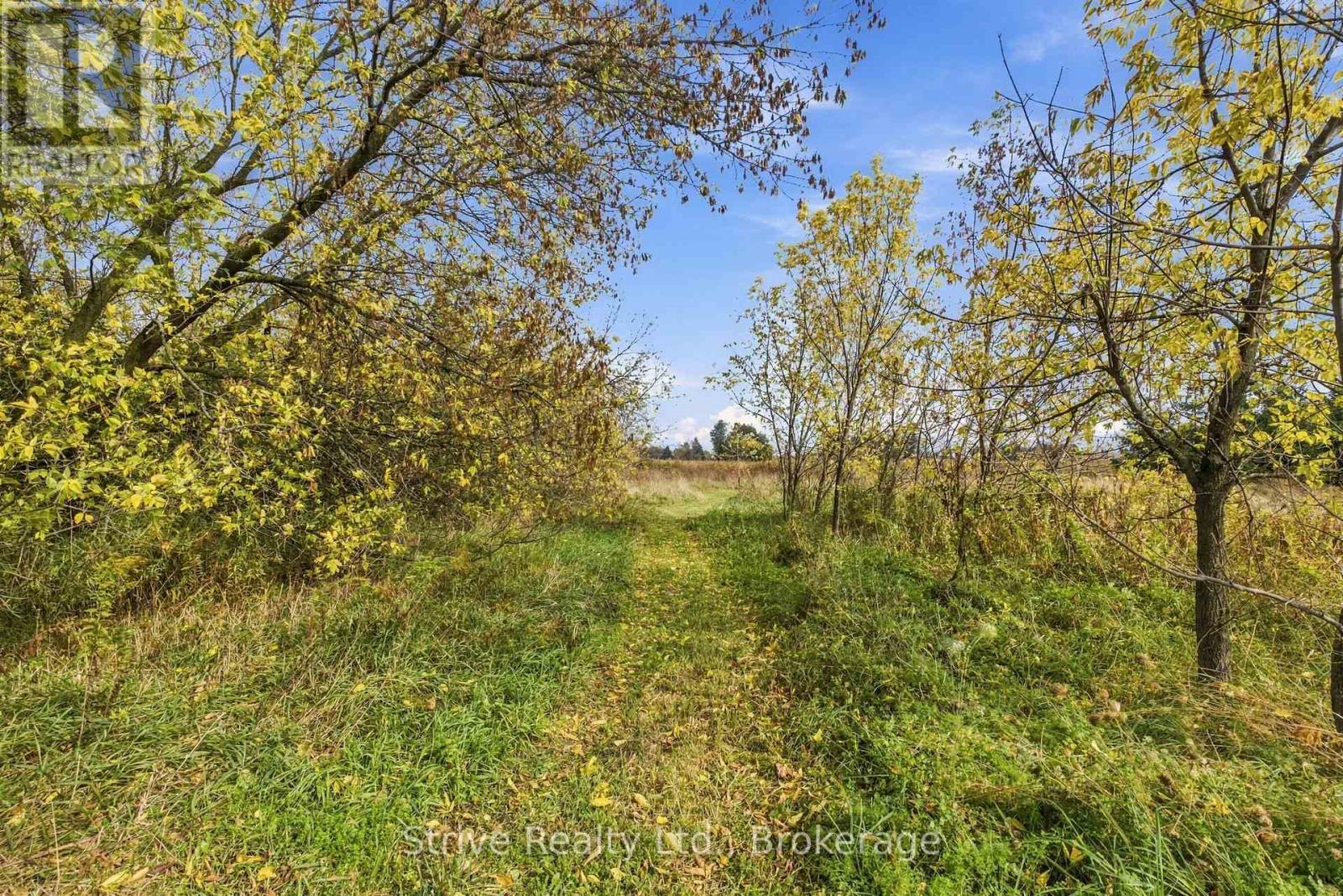 239 Fallis Line Property Photo 31