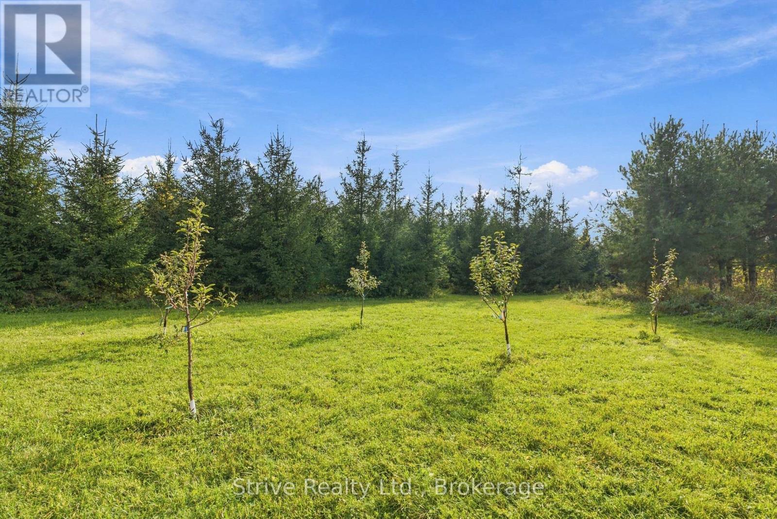 239 Fallis Line Property Photo 34