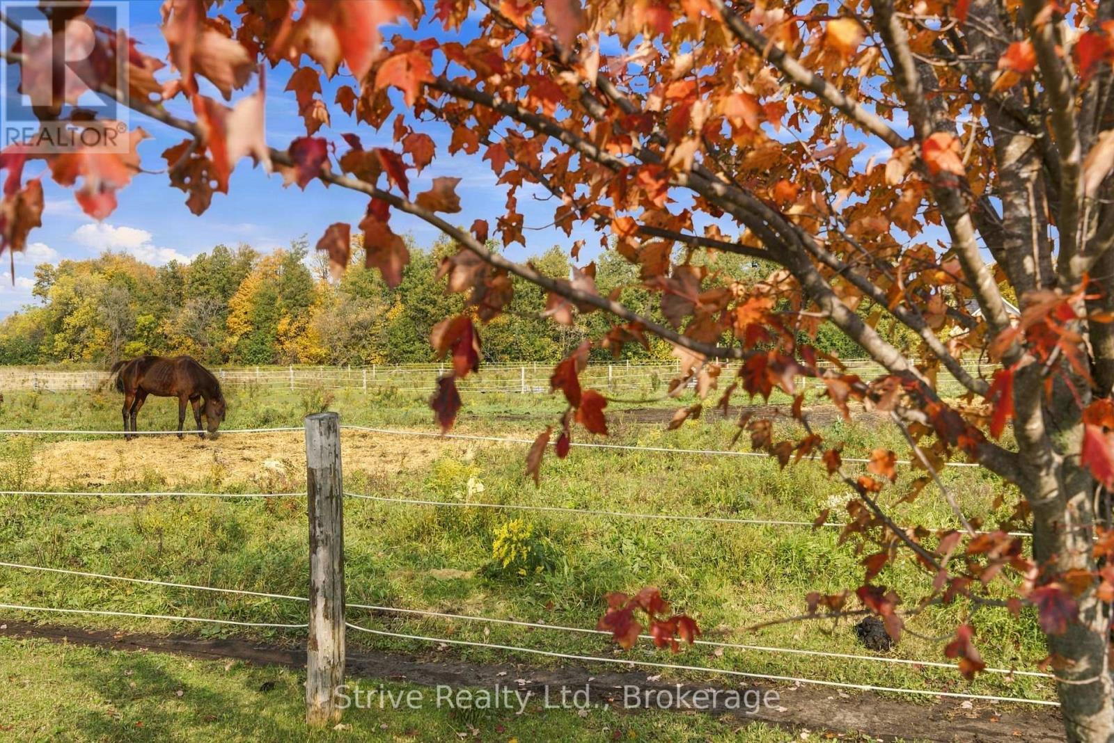 239 Fallis Line Property Photo 38