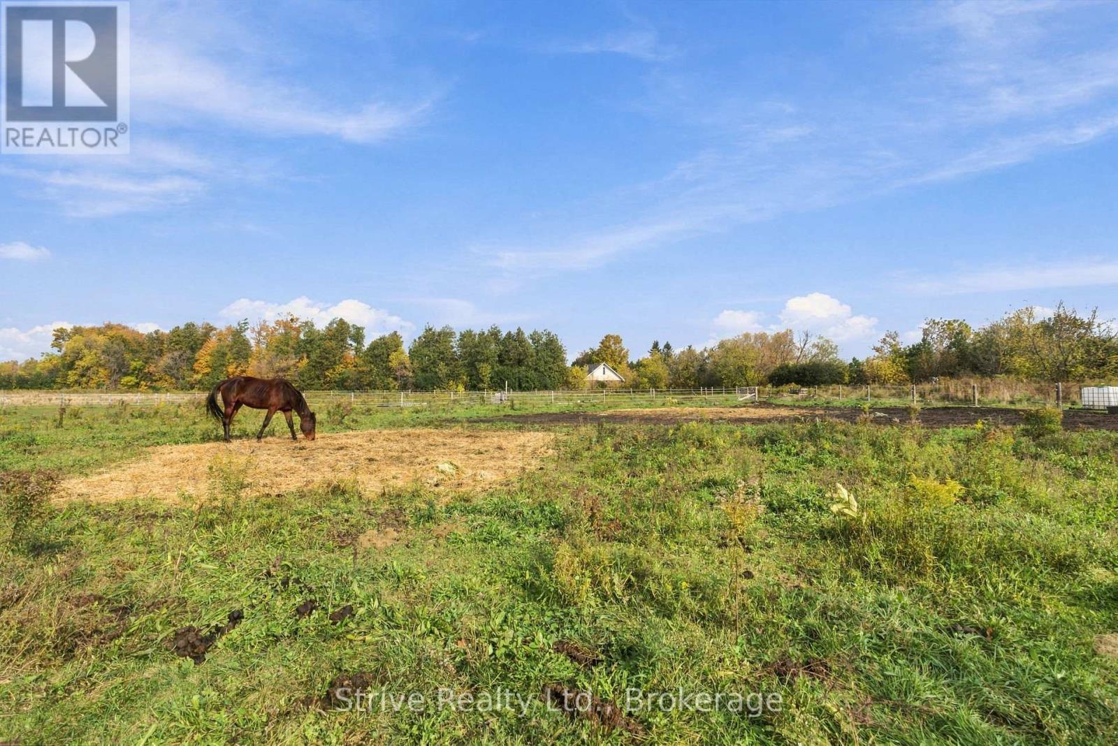 239 Fallis Line Property Photo 41