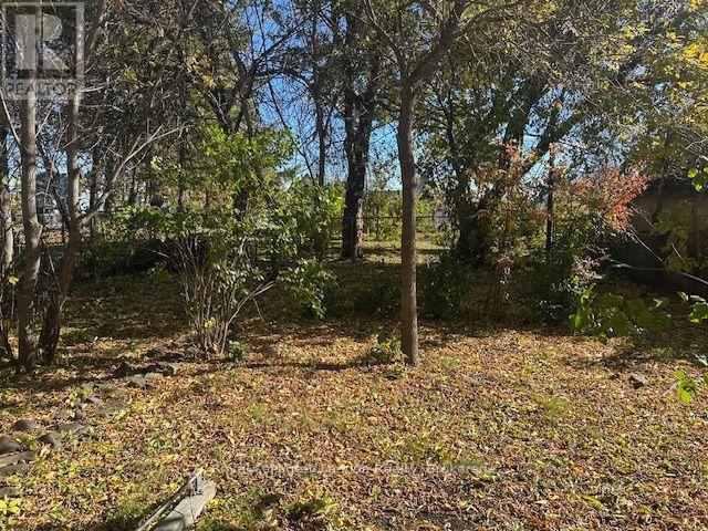 41 Machar Avenue Property Photo 6
