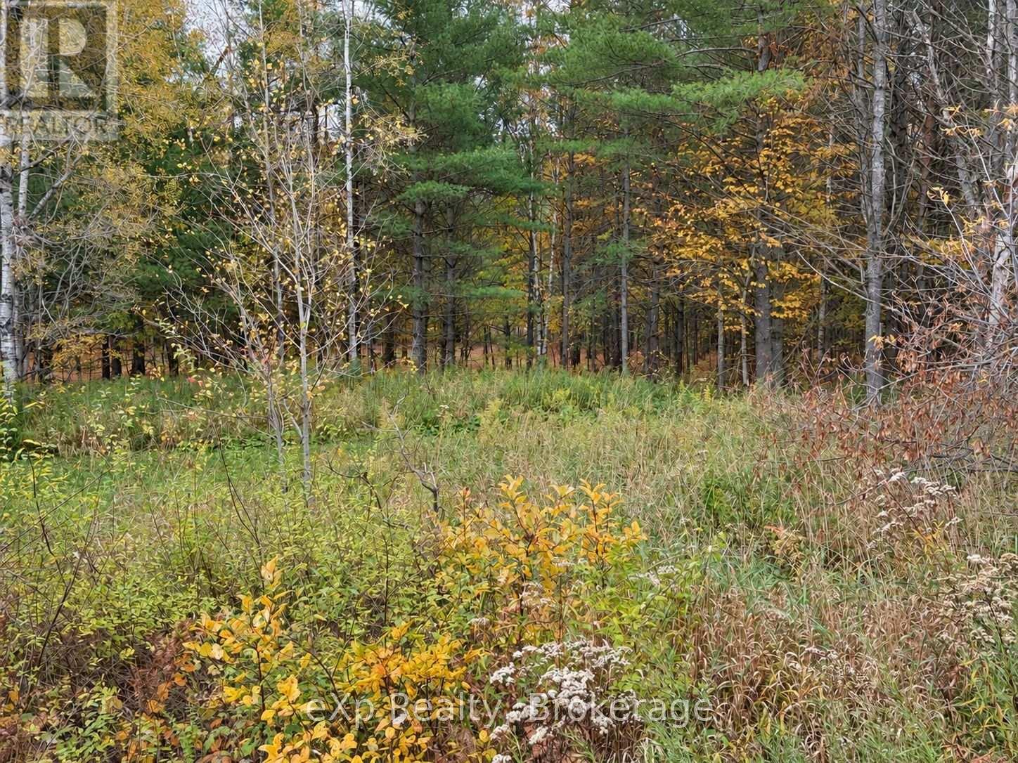 1003 Silver Lake Road Property Photo 5